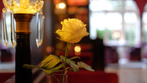 Apollofirst Boutique Hotel - image 9