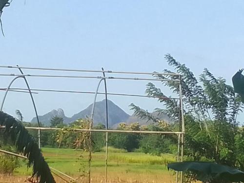 Winstar Homestay - image 5