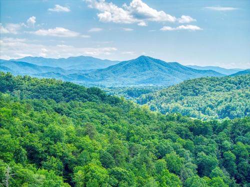 Rambling Bear on Cove Creek Hot Tub WIFI 560 FREE tickets each paid day!!! - image 13