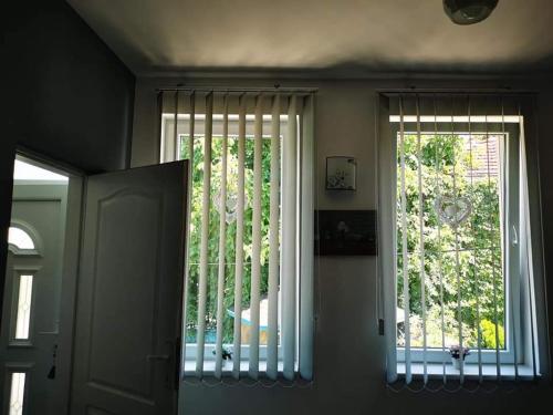 One-Bedroom Apartment image 8