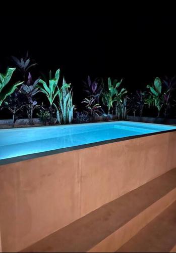 Lush Tulum Jungle Penthouse with Ensuite Rooftop Pool & HighSpeed Wifi in Balcheil, Mexico