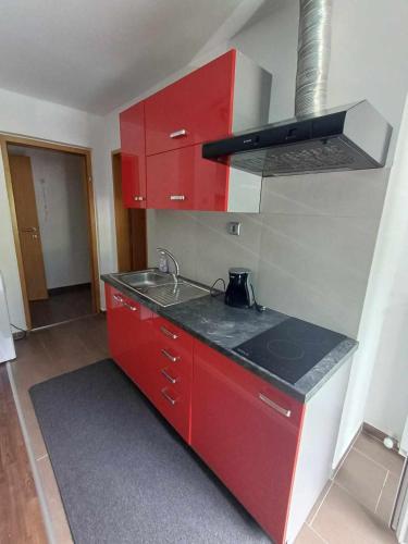 مطبخ, Apartmaji SLATENIK in بوفيك