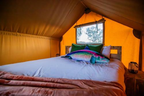 Roaring River Luxury Adventure Tent #16 in Cassville, USA