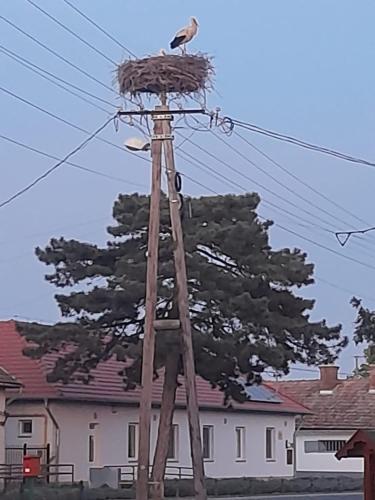 appartement tiszameer