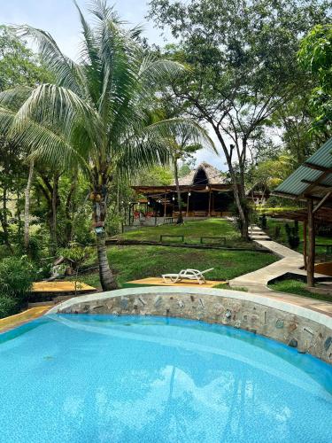 المنطقة المحيطة, Oasis The Traveler in Lanquin