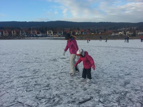 Myši V Botě Lipno