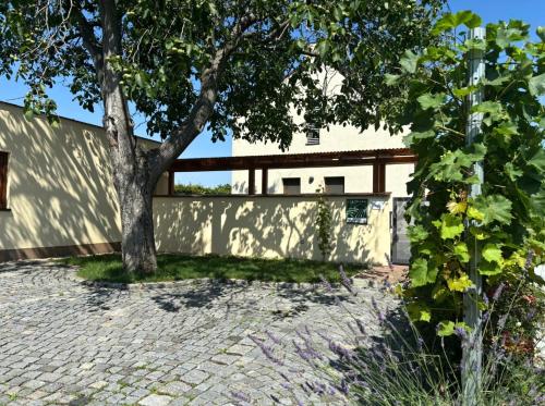 Exterior view of Ubytovani Na Vinici