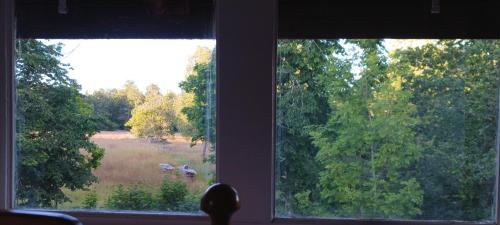 Månsarps skogs- och alpackagård (Mansarps skogs- och alpackagard) in 빔메르뷔 시티 센터