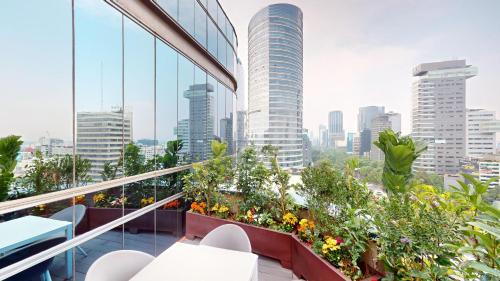 View, Marquis Reforma Hotel & Spa in Mexico City