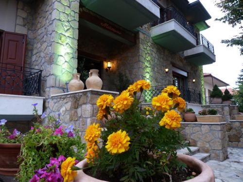 Ieeja, Mysaion Hotel in Synikia Mesi Trikalon