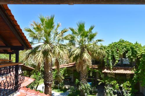 Hage, Oneiro Zois villas in Thasos