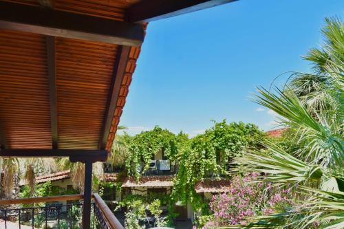 Hage, Oneiro Zois villas in Thasos