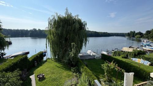 Luxus-Domizil am Wasser mit eigenem Seezugang - image 7