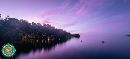 Snappers Key Largo - image 9