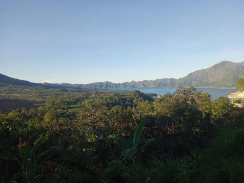 Pondok Kenali Glamping in Bali