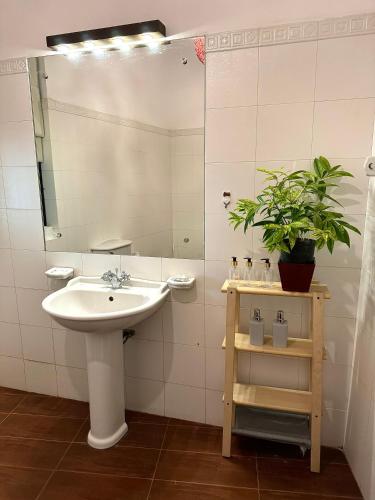 Fürdőszoba, Studio 33 in Wellampitiya