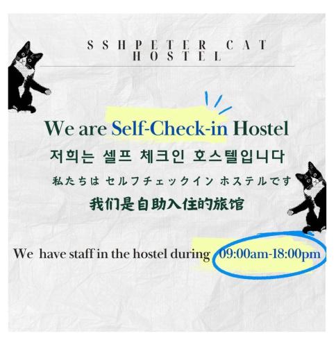 SSH Ikseon peter cat Hostel 5