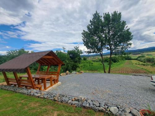 CabanA-lupu in Făget