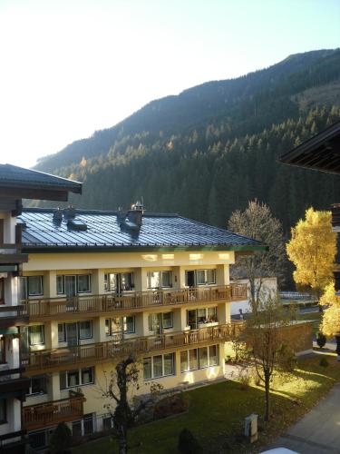 Bear Hutte Saalbach near Billa