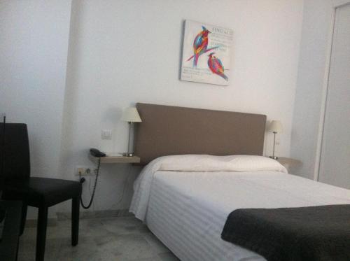Cool Sevilla Hotel, Sevilla (foto 4)