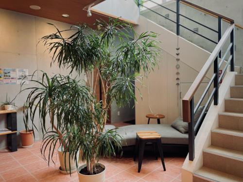 HOSTEL SunTerrace Ishigaki in 石垣