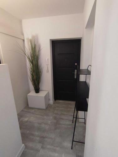 Apartament SZARY przy Arenie Lodowej