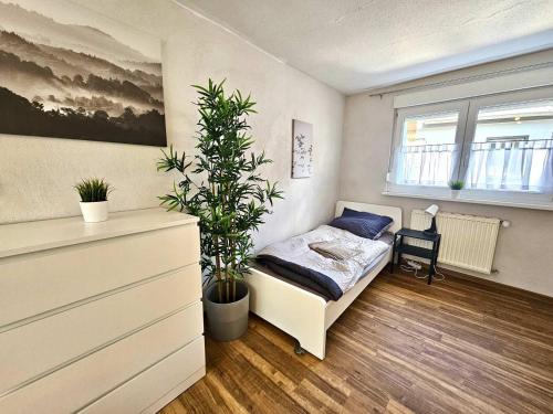 Beautiful apartment in Alzey in Alzey