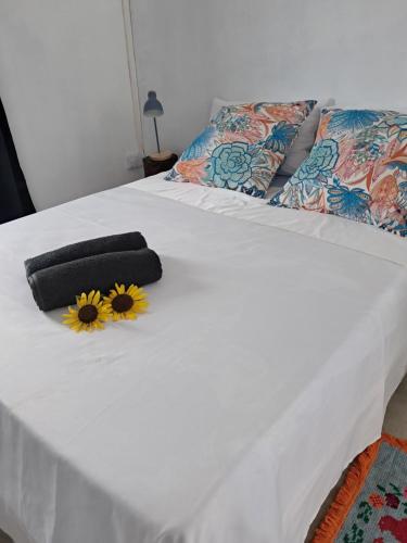 Papol et tella guesthouse in St. Francois