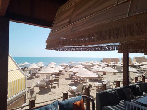 Beach, Carthage Thalasso Resort in Gammarth