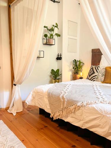 Cozy Art Experience: The quiet & relaxing escape, Drážďany (fotografie 7)