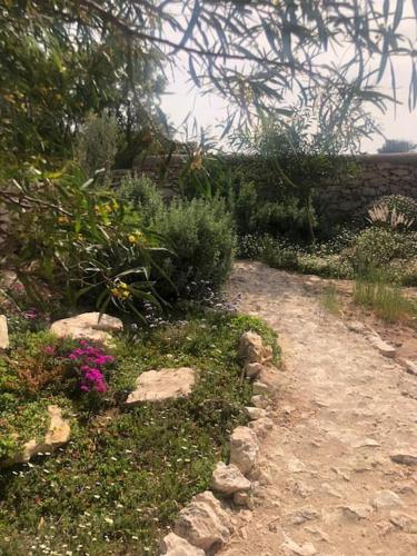 ShantyKaouki Maison de charme en bois sur pilotis ShantyKaouki Maison de charme en bois sur pilotis