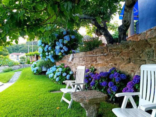 REMANSO AZUL REMANSO AZUL