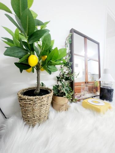 Yeonny House, Soul (fotografie 5)