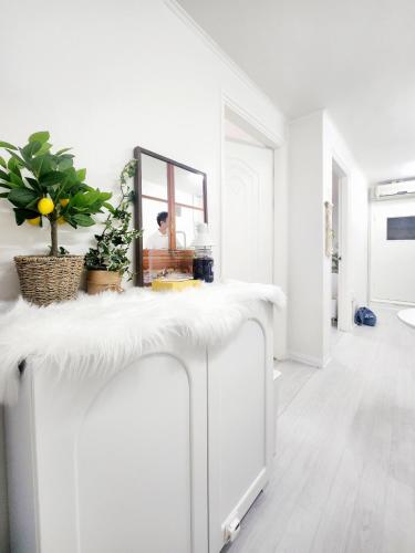 Yeonny House, Soul (fotografie 9)