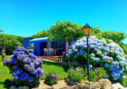 REMANSO AZUL REMANSO AZUL