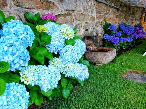 REMANSO AZUL REMANSO AZUL