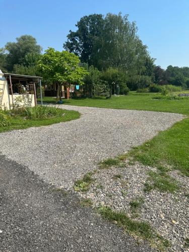 Močvirski Tulipan, Liubliana (foto 10)