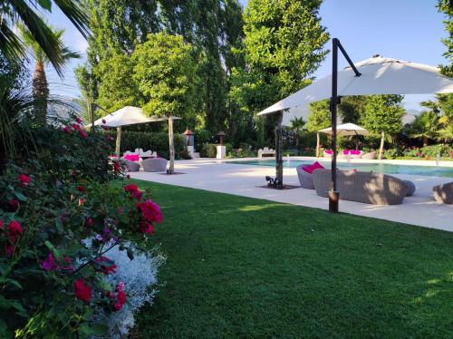 Hotel Liola' - image 4