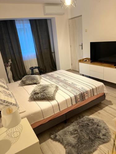 Apartament de lux, Craiova