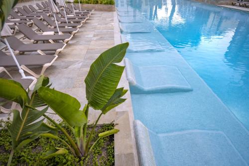 GHT Oasis Park & Spa - image 8