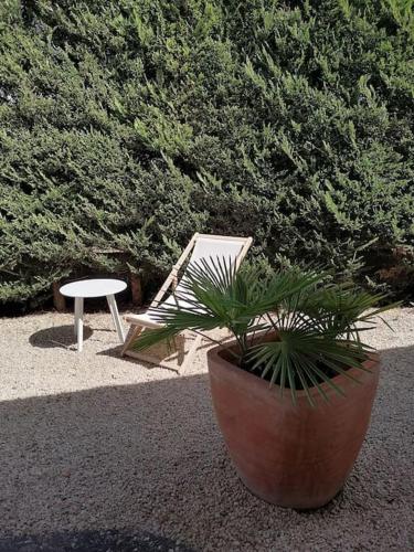 Duplex neuf avec exterieur in Montbrison