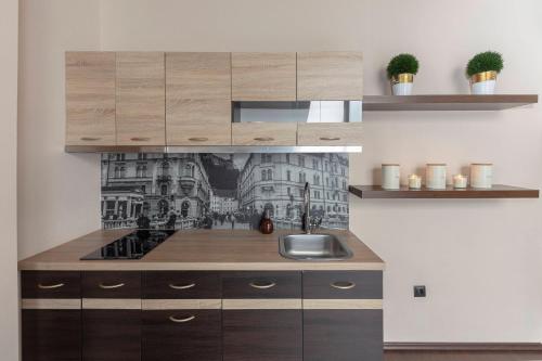 Apartma Relax Gaja - In the most beautiful city in the world, Ljubljana (photo 3)