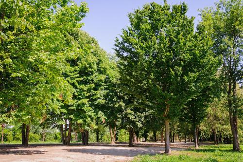 Agriturismo Villa Serena - image 6