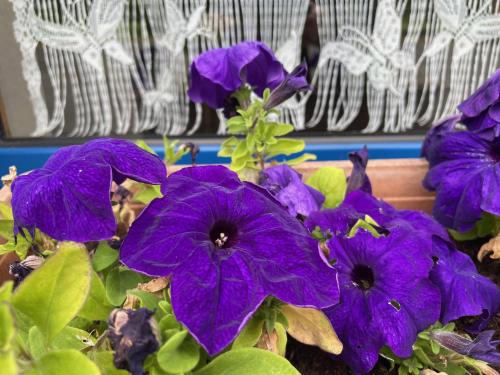 Une halte entre terre et mer Une halte entre terre et mer