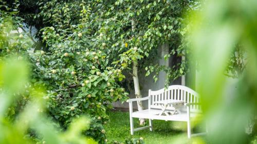 Garden, Hotel Villa Ruckert in Geidorf