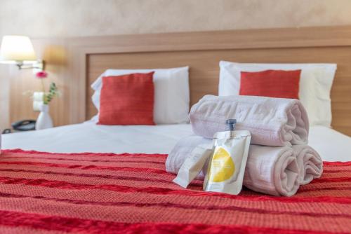 Brit Hotel Confort Castres - image 6