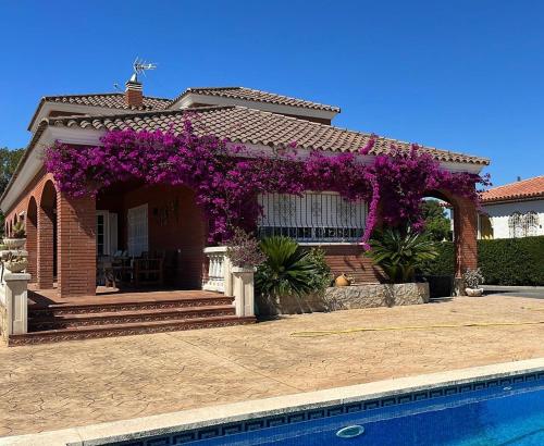 Bejárat, Villa Paradiso in Vila Romana