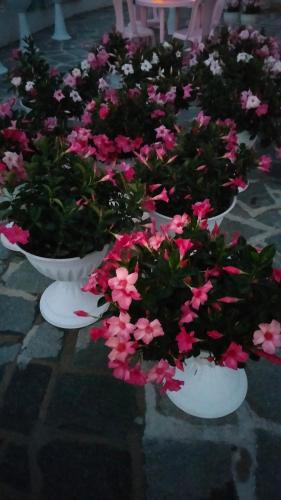 Oasirelax -camera con vista a un passo da torino