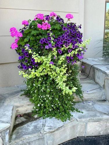 Blue Mountains Bed and Breakfast in Blue Mountains, Canada