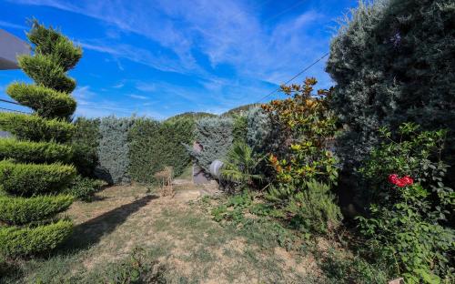 Villa Sara Village Oasis - image 3
